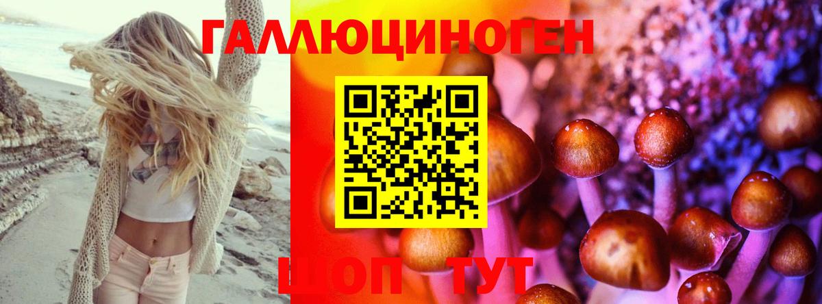 Нягань  Галлюциногенные грибы Psilocybe  Вход с VPN 